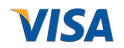 Visa_Inc._logo.svg.png